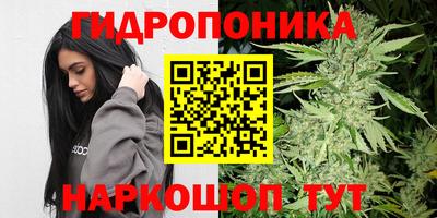 соль ск Нальчик