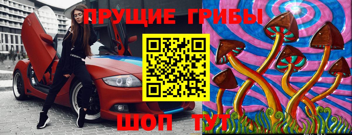 Волоколамск  Псилоцибиновые грибы ЛСД  Вход с VPN 