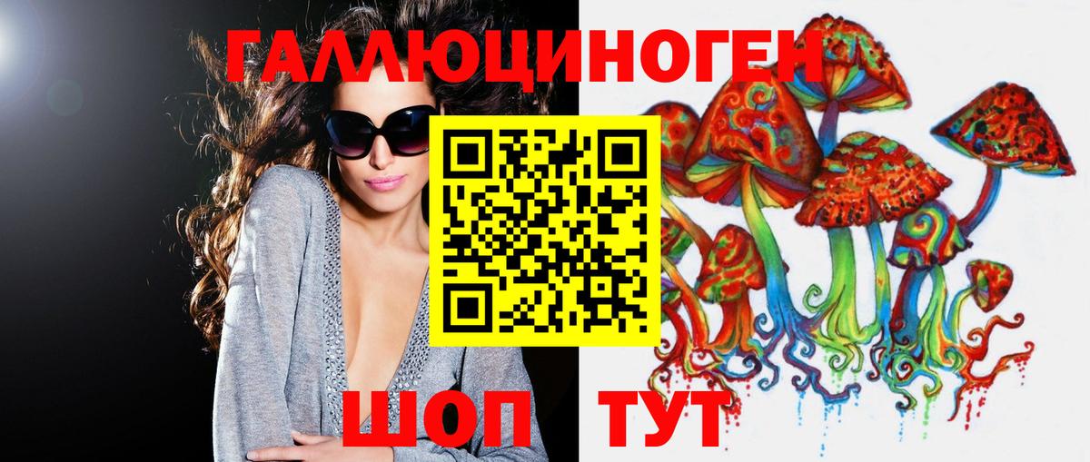 Галлюциногенные грибы Psilocybe Волоколамск